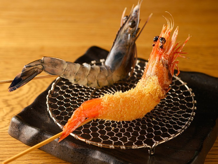 ヒトサラマガジン